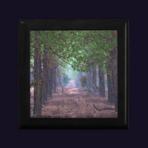 Wind in the Pines Jewelry Box