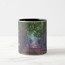 Wind in the Pines Mug