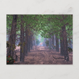 Wind in the Pines Postcard