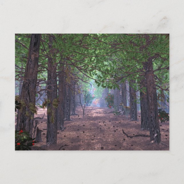 Wind in the Pines Postcard (Front)