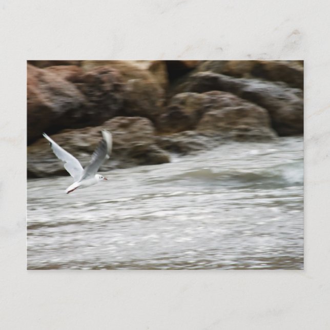 Wind Master Postcard (Front)