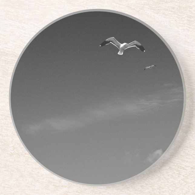 Wind Masters Coaster (Front)