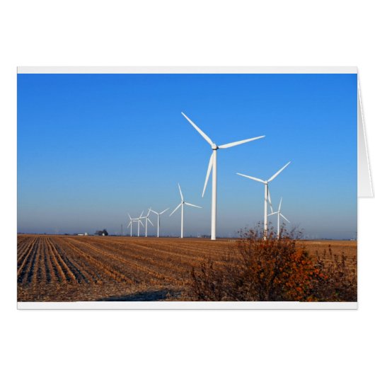 Wind mills.JPG (Front Horizontal)