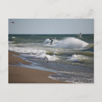 Wind Postcard