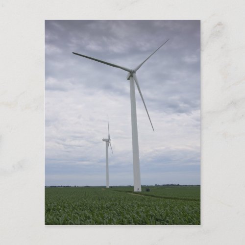 Wind Turbines in Cornfield Postcard