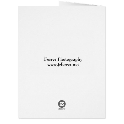 Wind Turbines in Montfort (Back)