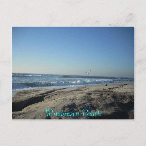 Windansea Beach Postcard