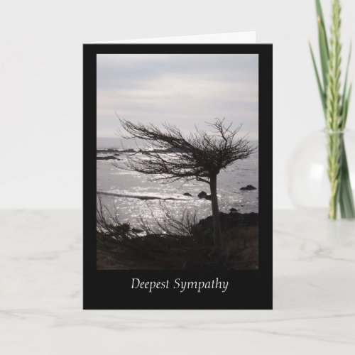 Windblown Tree  Deepest Sympathy Card