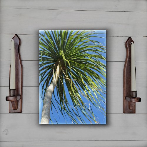 Windblown Tropical Palm Tree Photographic Acrylic Print
