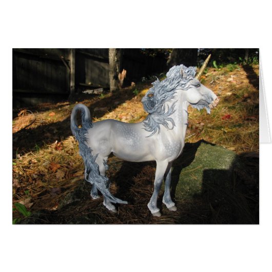 Windblown Unicorn (Front Horizontal)