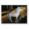 Windblown Unicorn