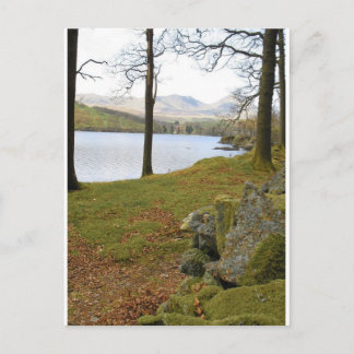 Windermere Lake In Lake District Postcard