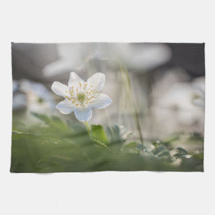 Windflower Nature Photo Kitchen Towel