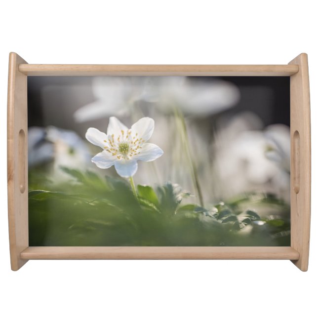 Windflower Nature Photo Serving Tray (Front)