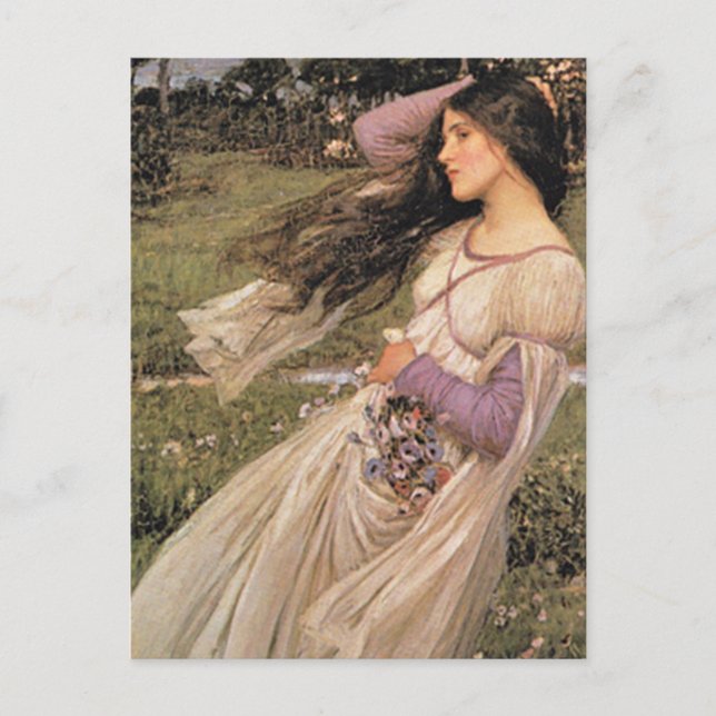 WiNDFLoWERS, by John William Waterhouse, 1902 Postcard (Front)