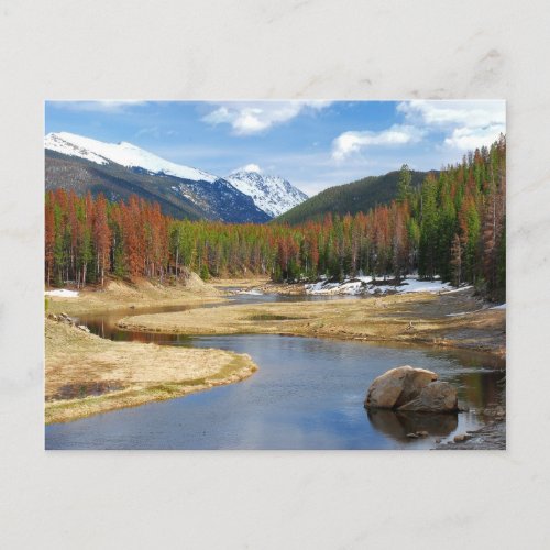 Winding Colorado River With Mountains and Pines Postcard