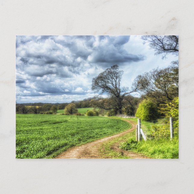 Winding Country Path HDR Postcard (Front)