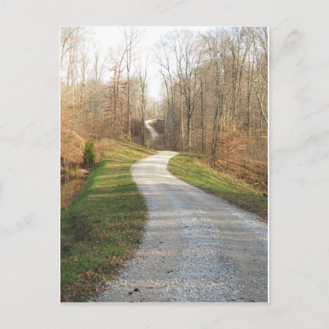 Winding Country Road Postcard (Front)