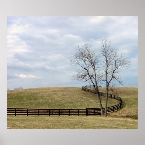 Winding Fence Winter Tree Poster