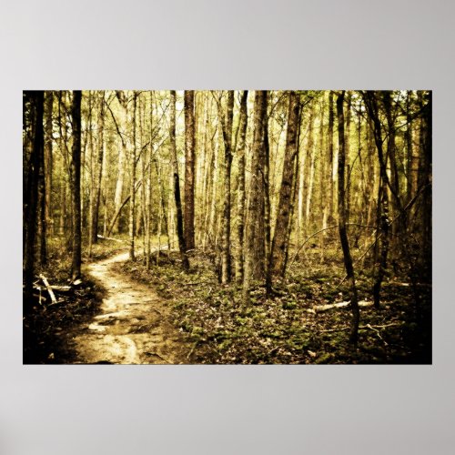 Winding Path Poster