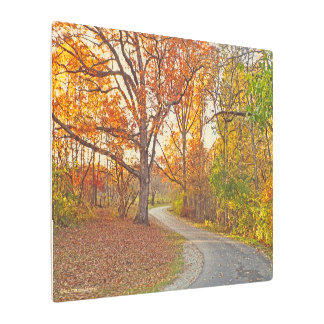 " WINDING PATH THROUGH WOODS IN AUTUMN" METAL PRINT