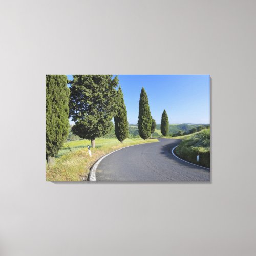 Winding Road Lined with Cypress Trees Val Canvas Print