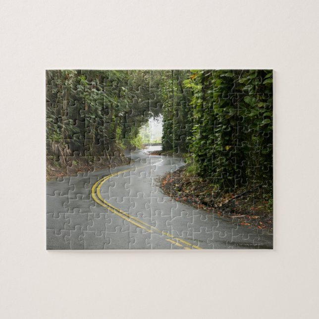 Winding roads through rainforest, Island of Jigsaw Puzzle (Horizontal)