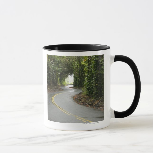 Winding roads through rainforest, Island of Mug (Right)