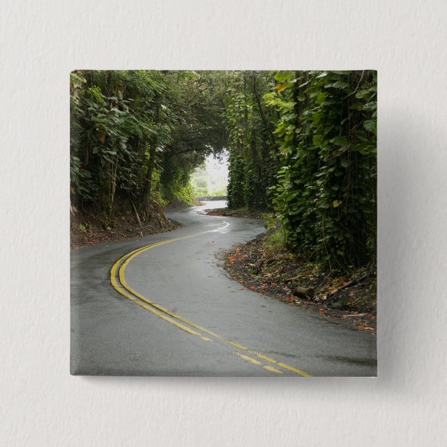 Winding roads through rainforest, Island of Pinback Button (Front)
