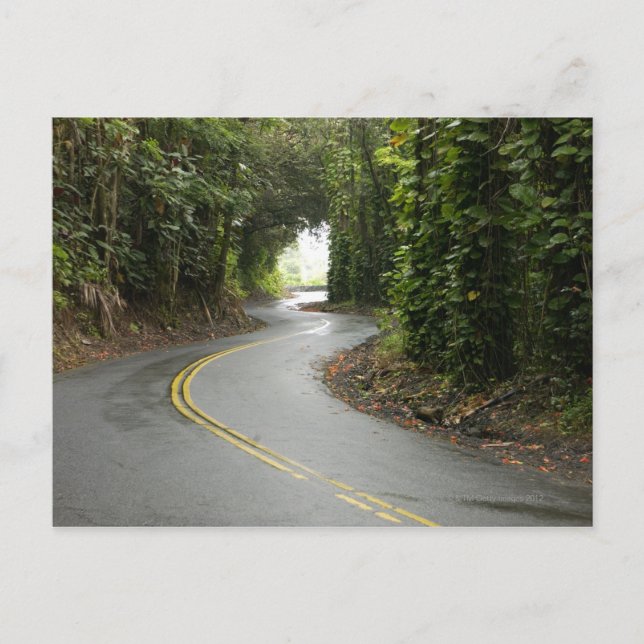 Winding roads through rainforest, Island of Postcard (Front)
