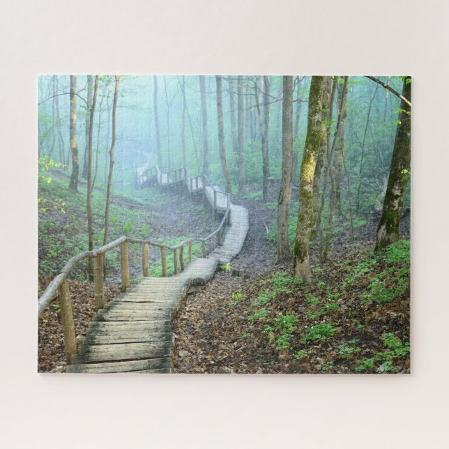Winding Wooden Stairs Through the Woods Jigsaw Puzzle (Horizontal)