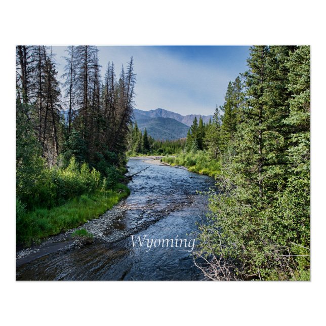 Winding Wyoming Stream (labeled) Poster (Front)