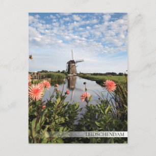 Windmill and flowers in Leidschendam Postcard