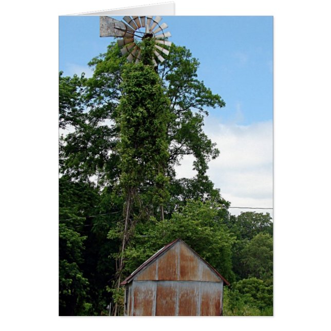 Windmill and Shed Cards (Front)