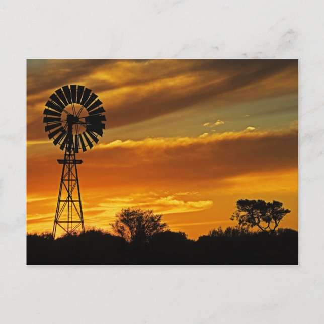 Windmill and Sunset, William Creek, Oodnadatta Postcard (Front)