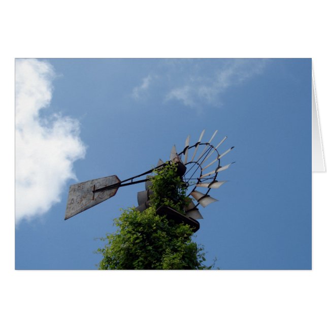 Windmill Cards (Front Horizontal)