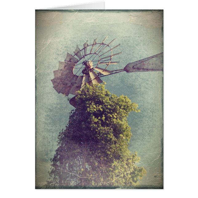 Windmill Grunge Cards (Front)