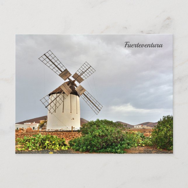 Windmill in Fuerteventura. Postcard (Front)