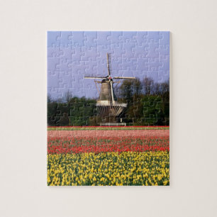 Windmill in the bulb fields jigsaw puzzle