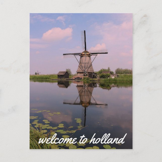 Windmill Kinderdijk Molen Holland Netherlands Postcard (Front)