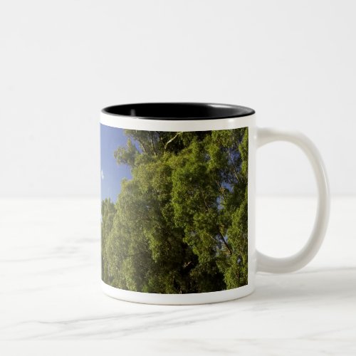 Windmill near Hume Highway Victoria Australia Two_Tone Coffee Mug