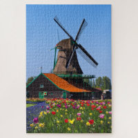 Windmill Netherlands Tulip Garden Europe