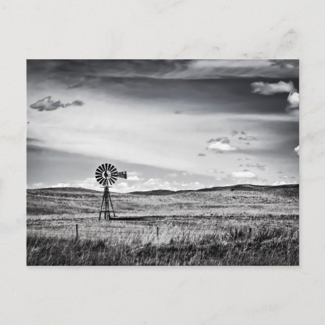 Windmill on the Plains Postcard (Front)