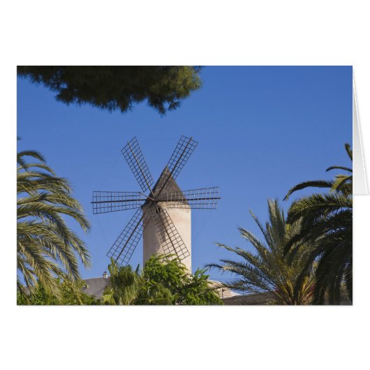 Windmill, Palma, Mallorca, Spain Cards (Front Horizontal)