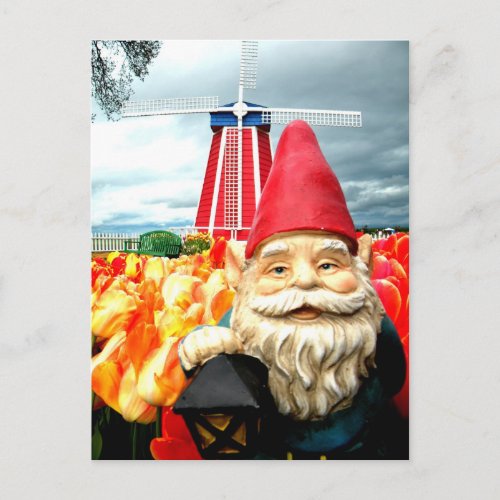 Windmill Postcard