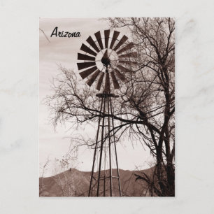 Windmill Postcard