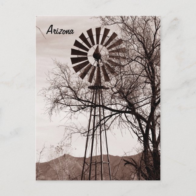 Windmill Postcard (Front)