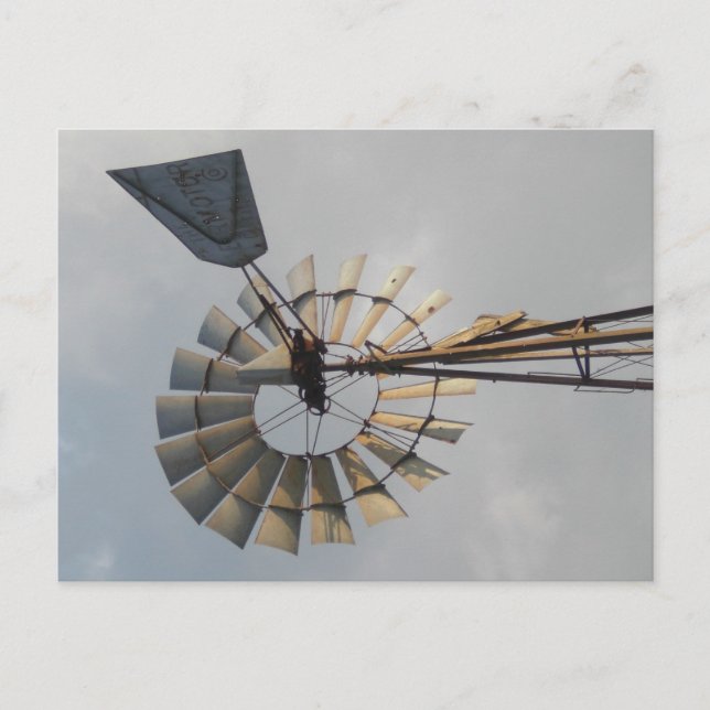 Windmill Postcard (Front)