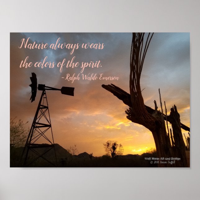 Windmill Saguaro Cactus Skeleton Arizona Sunset Poster (Front)