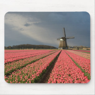 Windmill with pink tulips in spring mouse pad